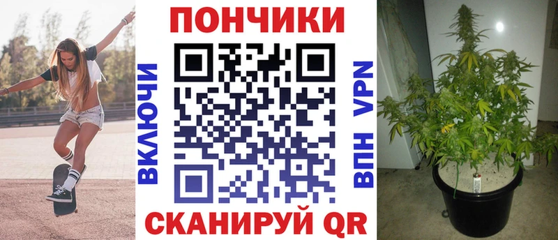 Виды наркотиков купить Ветлуга КОКАИН  Экстази  ГАШИШ  Меф 