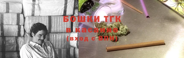 дурь Сатка