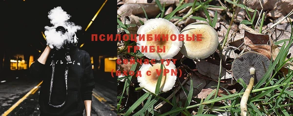 гашик Алзамай