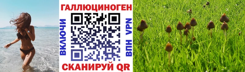 Псилоцибиновые грибы ЛСД гидра маркетплейс Ветлуга купить