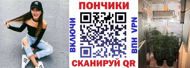 Каннабис OG Kush  магазин    mega   Ветлуга 